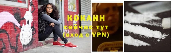 СК Новокубанск