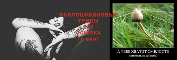 мдма Новозыбков