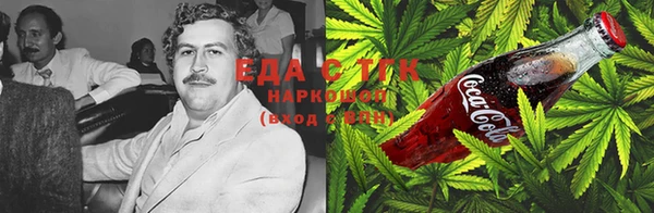 индика Алзамай