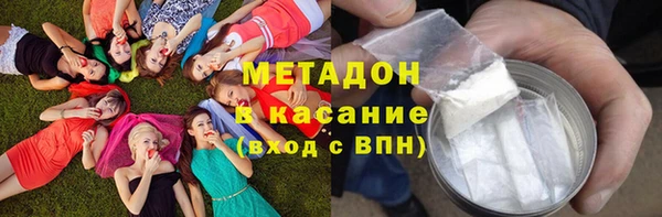 индика Алзамай